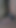 Penis