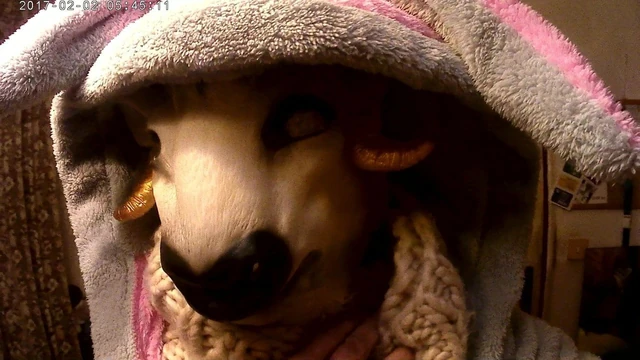 Wrapped in many layers and a sheepskin coat. I have a big se