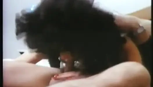 Bir oda hizmetçisinin pornografik maceraları