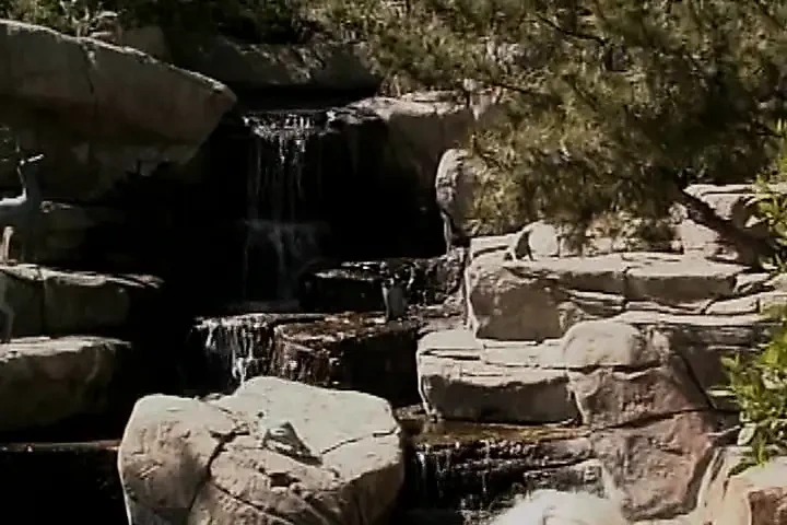 Platinum Blonde Sluts Sharing Strapon Toy by the Pool