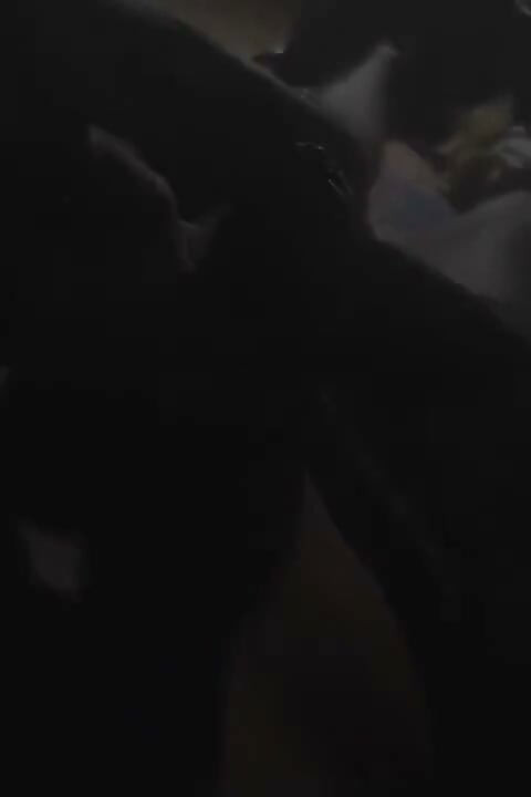 Penis
