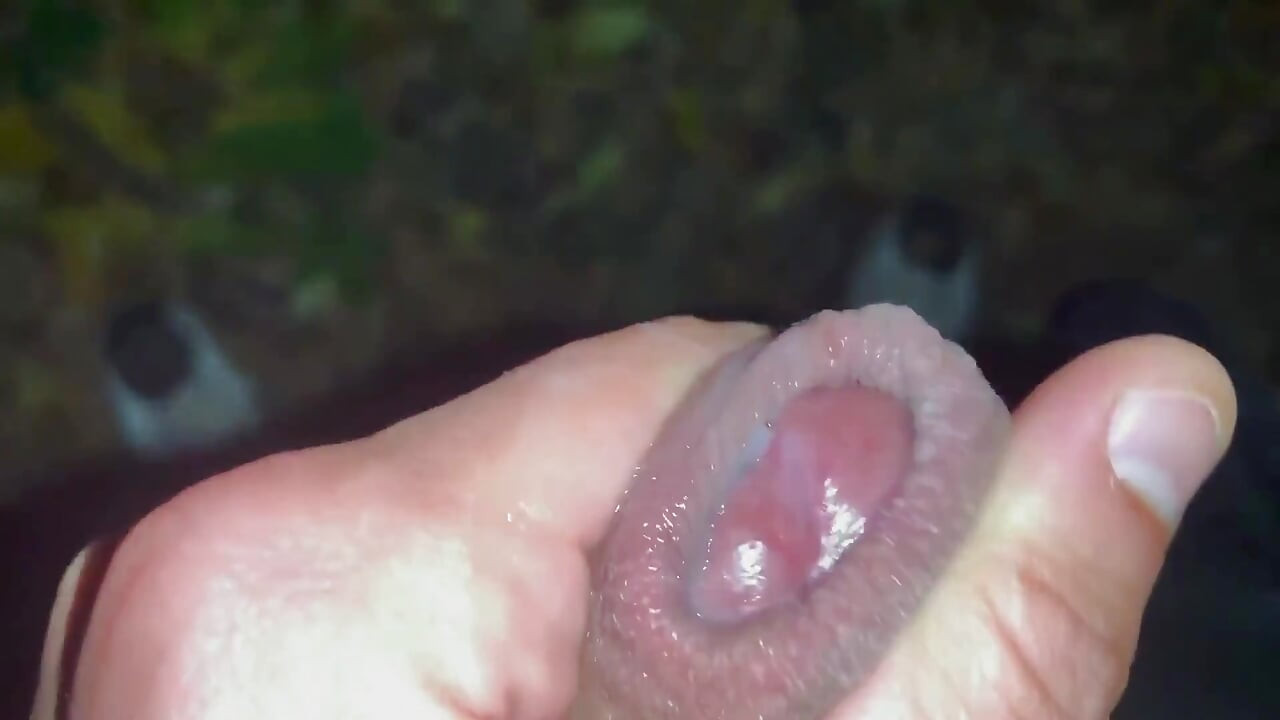 Under Foreskin Cheesy Cock Cums Onto Ground Outdoor