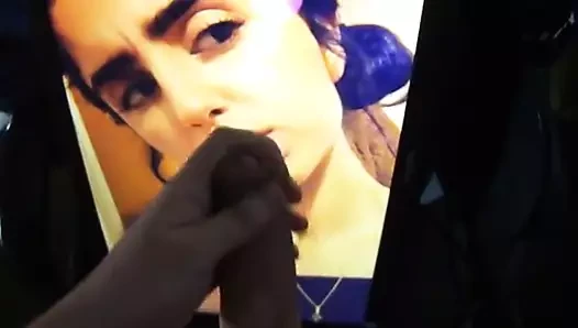 plutt23 için haraç