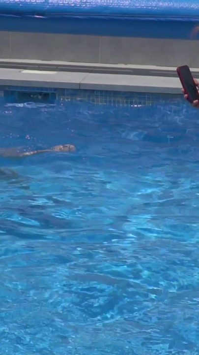 Lesbian Girls Are Having Fun in a Pool with an Inflatable Shark