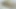 Punjabi Girls Fucks Unknown Truck Driver for One Night Stand