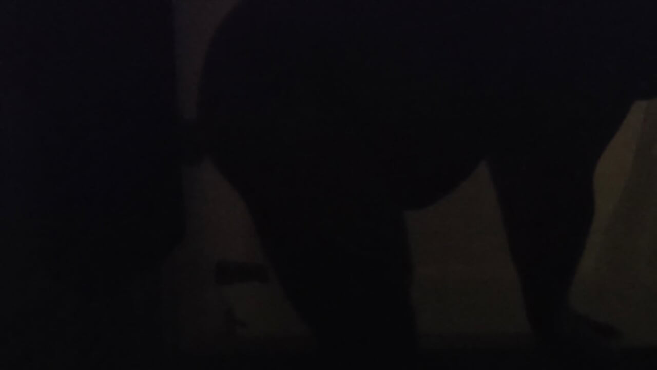 Some light night fun in the dark with my toy