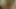 バレンタインのアスウィッピングクラシック09200