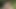 2つのレズの友人は、お互いに彼らの猫を共有します