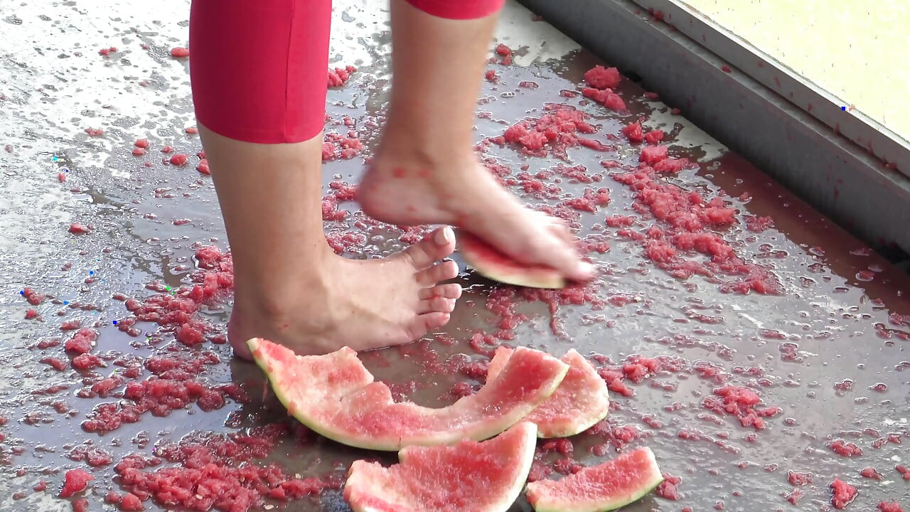 수박 먹이주기!