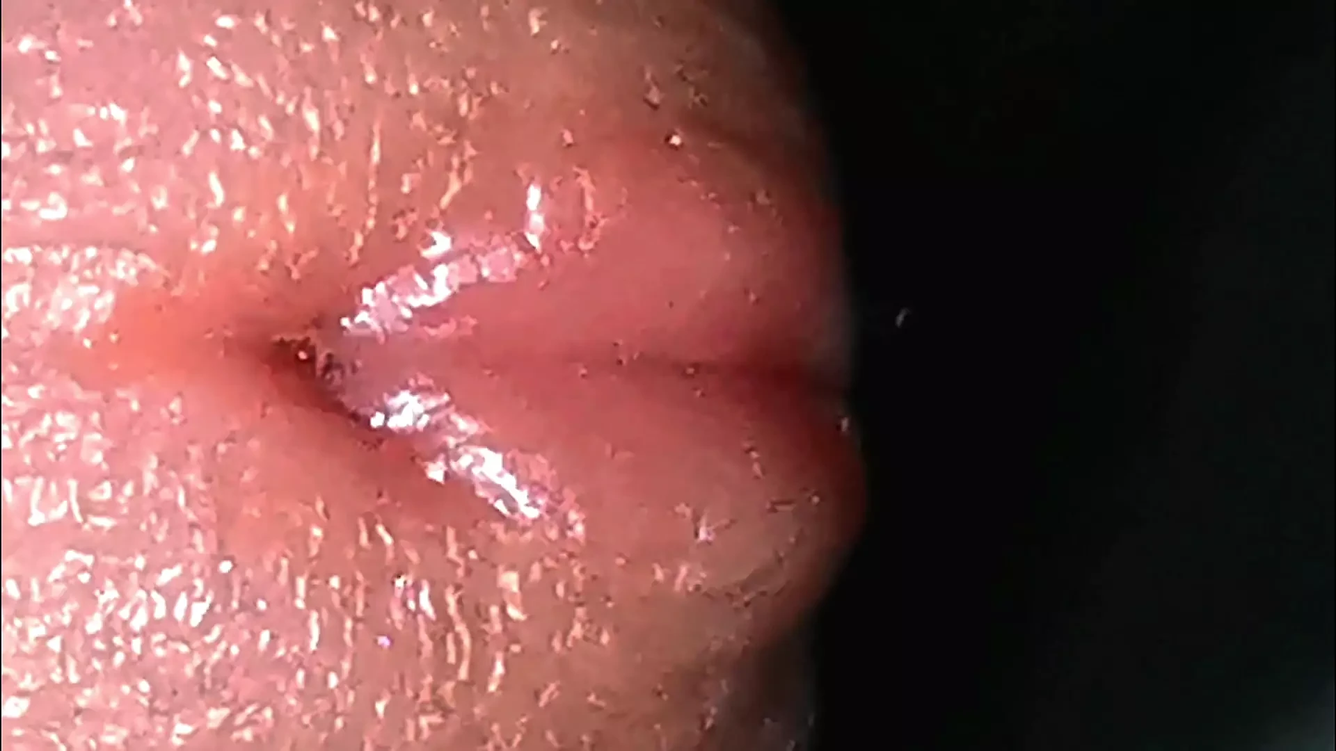 an excited penis and a beautiful ass very close up