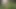 Gartenarbeits-Spaß 4