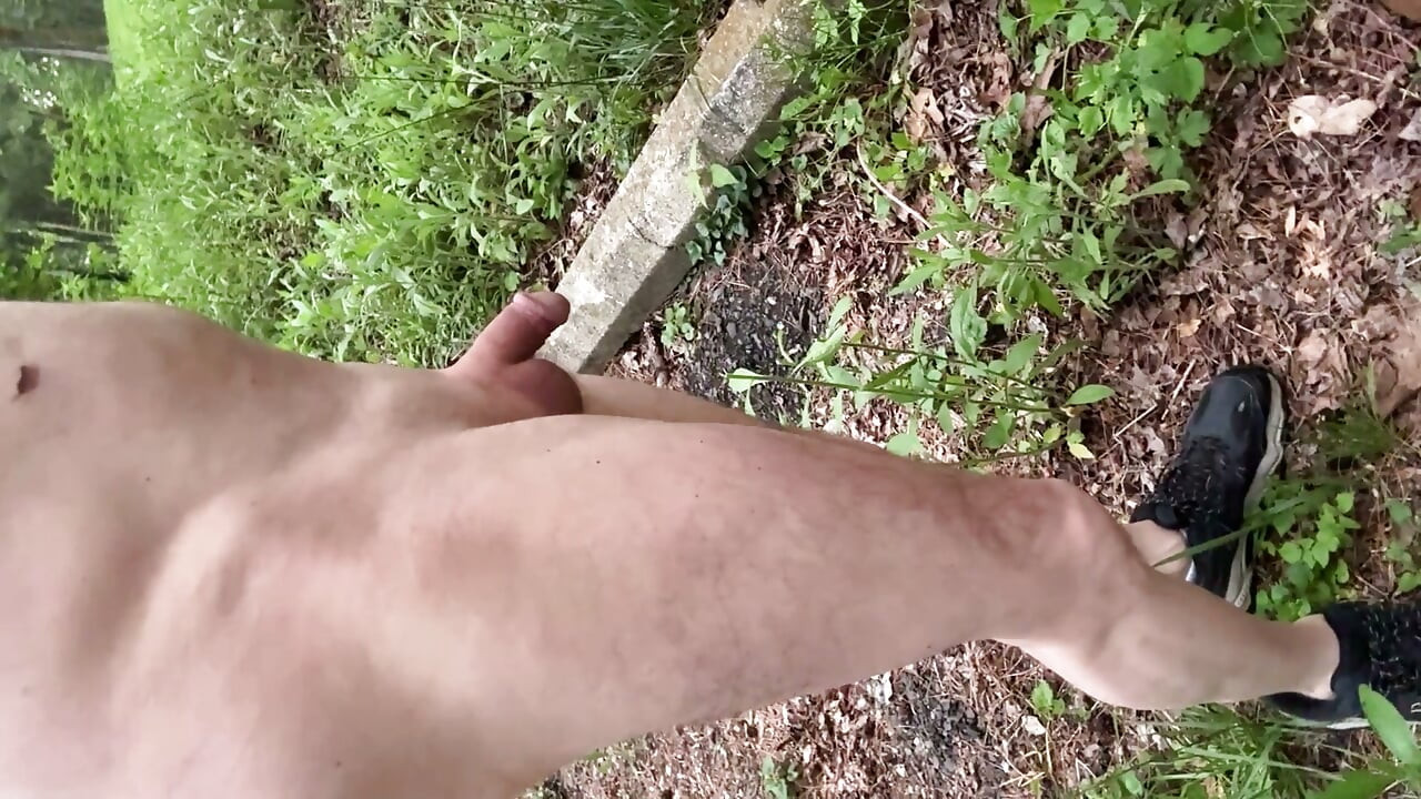 Walk without Clothes back a risky trail.