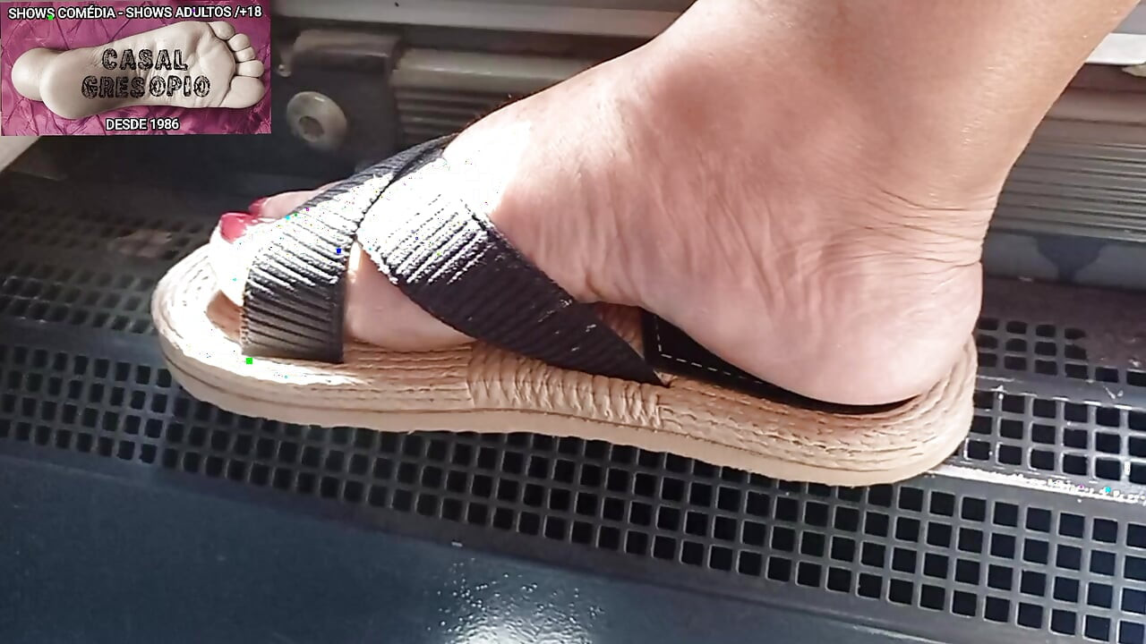 PUBLIC TRANSPORT 14