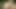 Eine weitere anfrage erfüllt für das heutige video