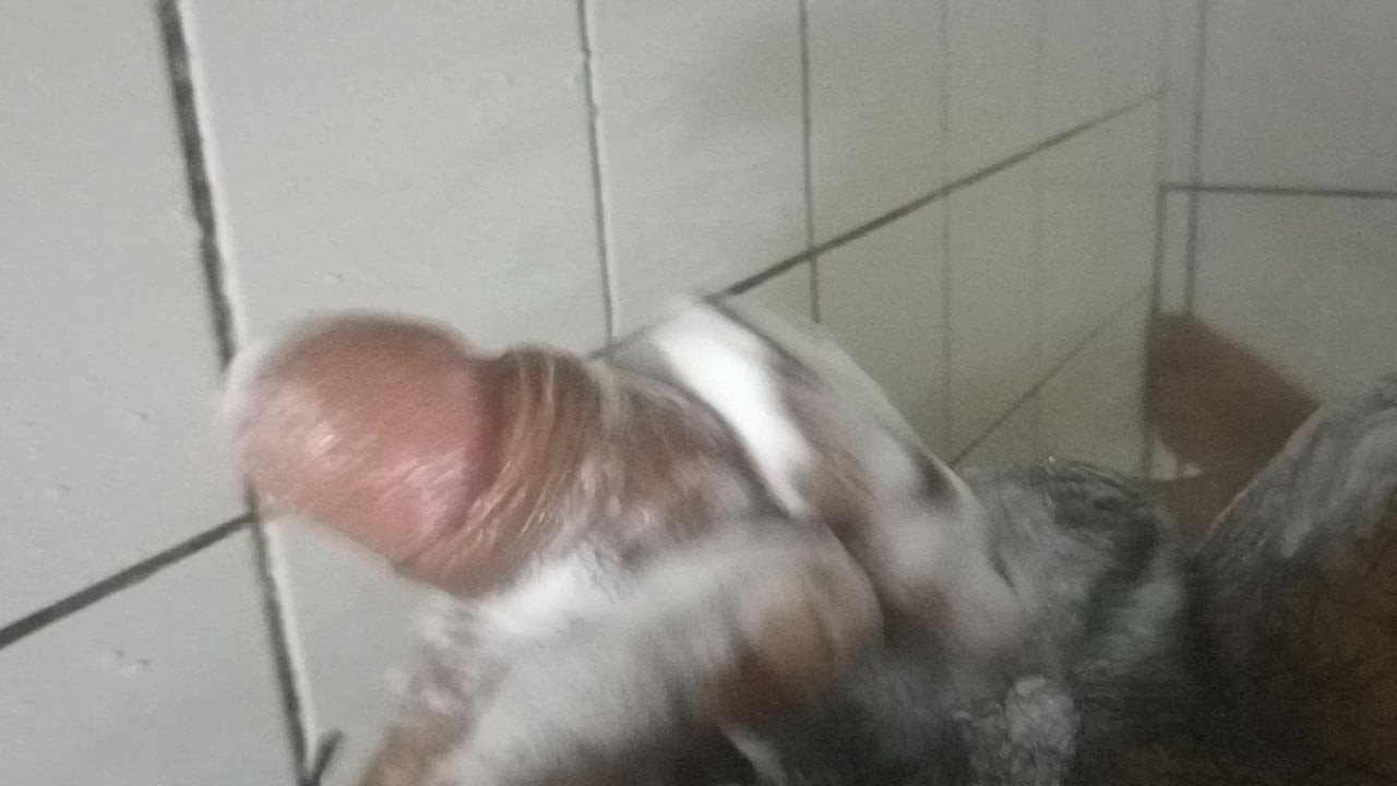 Soloboy