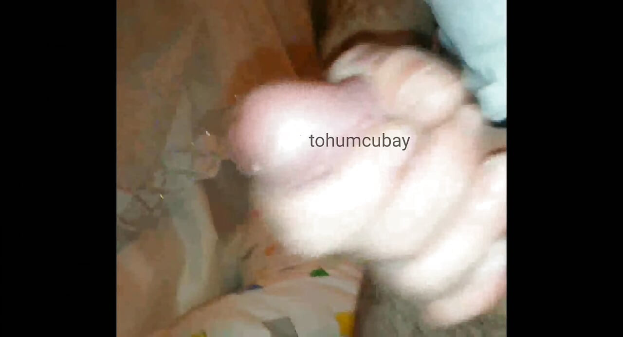 Seedcubay