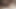 Un homme avec un gros cul blanc obtient un missionnaire pour montrer l’anus ouvert