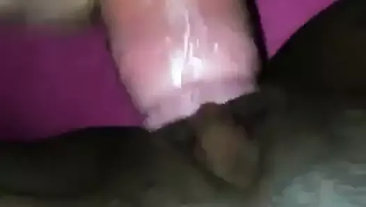 White cock creampies black pussy