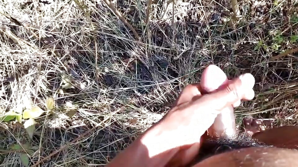 Desi indischer sex-dschungel ficken xxx video