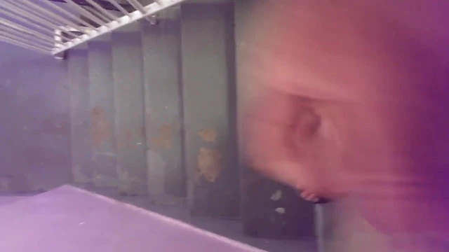 Wank in a block of flats stairwell