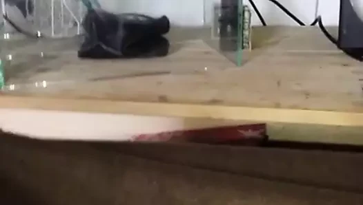 Lydia die scharfe  Schnecke