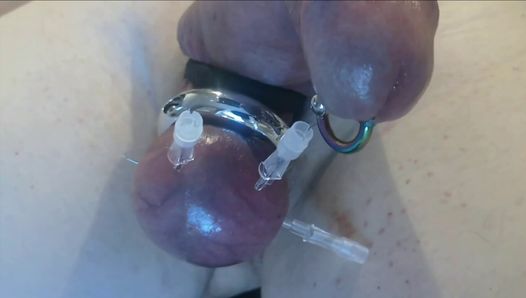 инъекция пениса и иголок через яйца в БДСМ-играх с пыткой члена и члена
