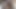 Classy lesbian couple sucking pussy