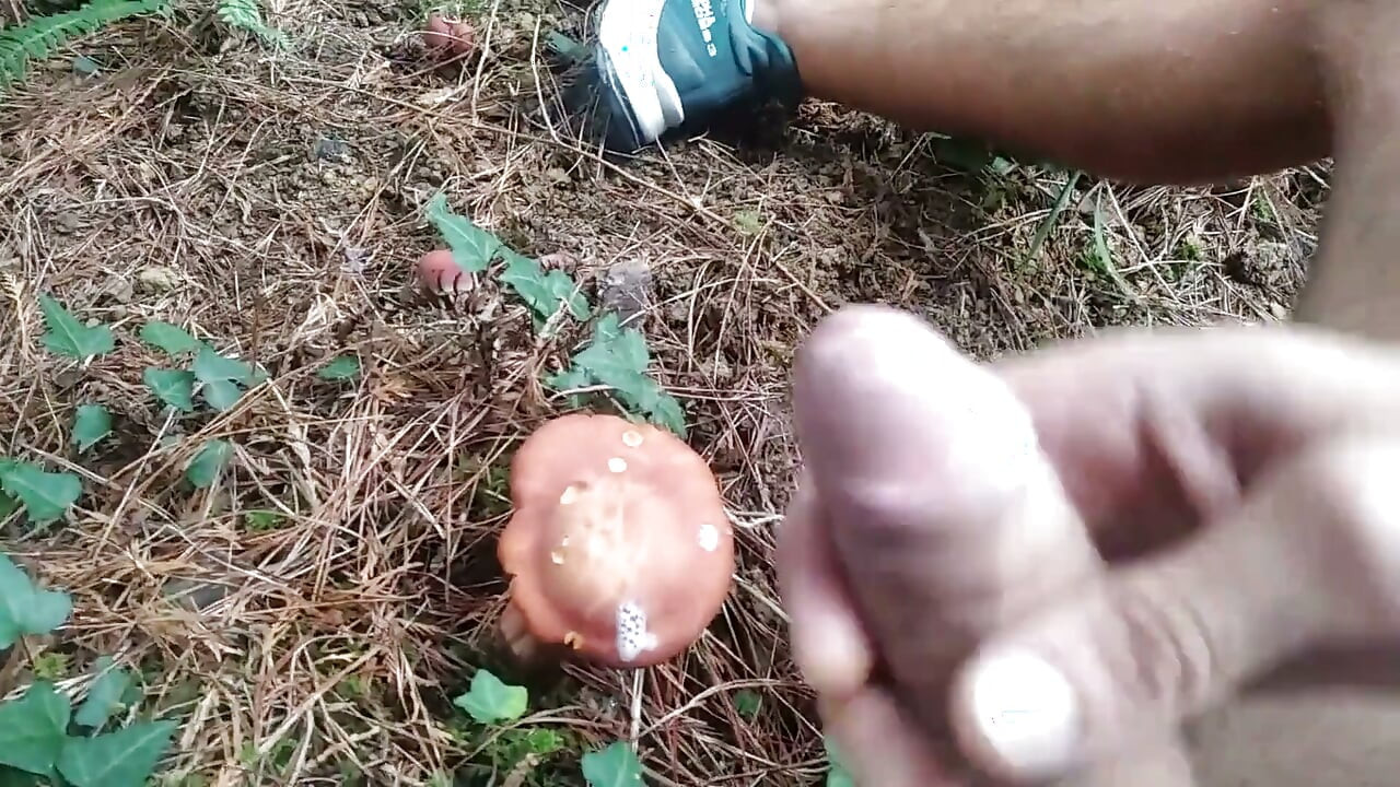 Hiker Takes Out His Dick Looking for Mushroomsand Unloads Semen in One of Them