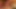 Kompilasi sepong kontol closeup nenek carmen