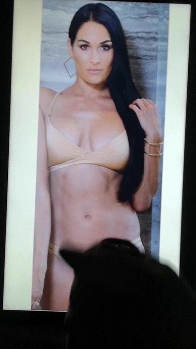 Nikki Bella cumtribute 5