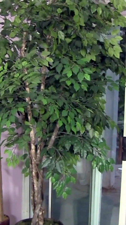 デカチンでヤリまくった!
