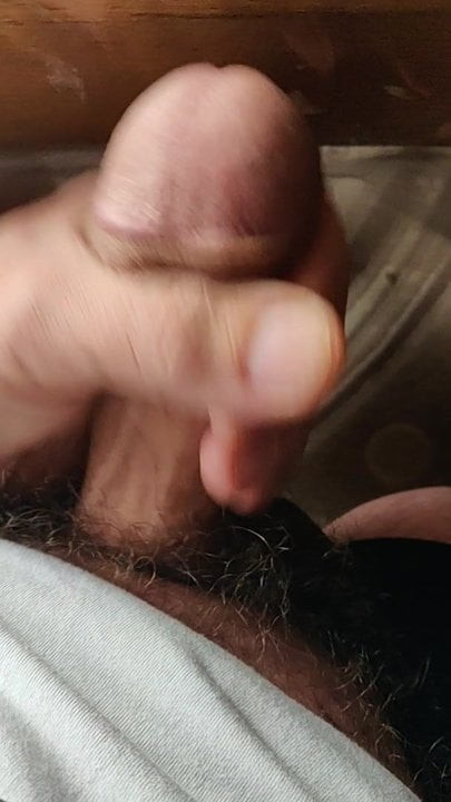 只是一点点爱抚