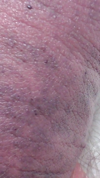 cbt12