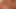 Avrupalı porno yıldızı kendini sikiyor