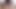 Hairy Ftm cunt teasing and playing around monsterdildos