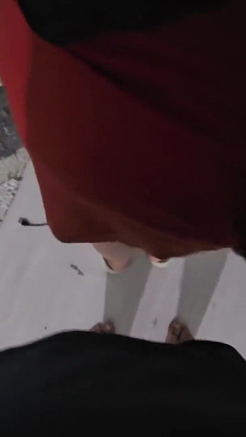 Pregled videozapisa