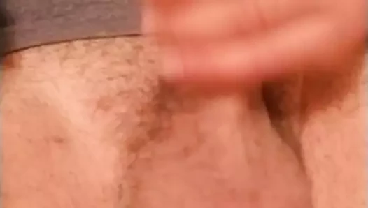 bahis