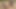 19歳の若者、ナイジェリアの男女がセックスをする