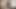 Gorgeous asians nipple plungers and masturbation