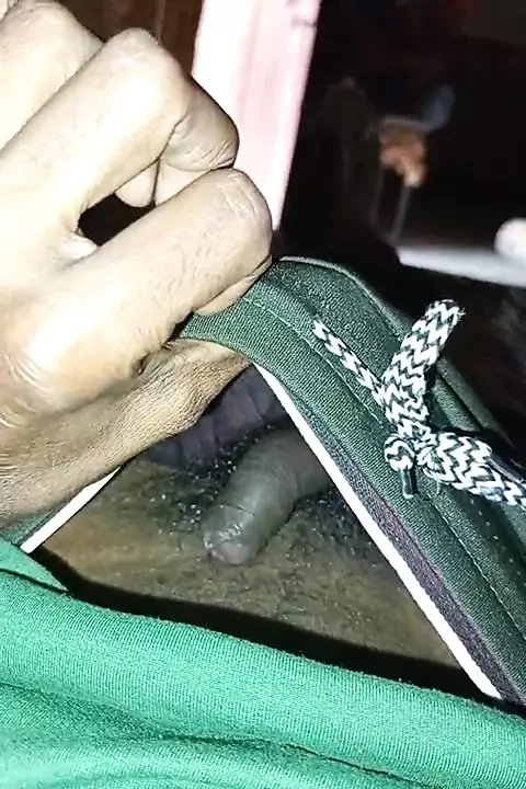 Fat cock saw big cock