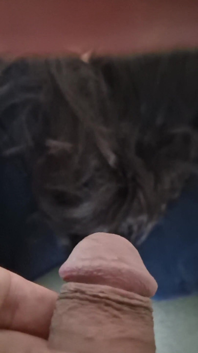 My wife is , and I am rubbing my penis against her