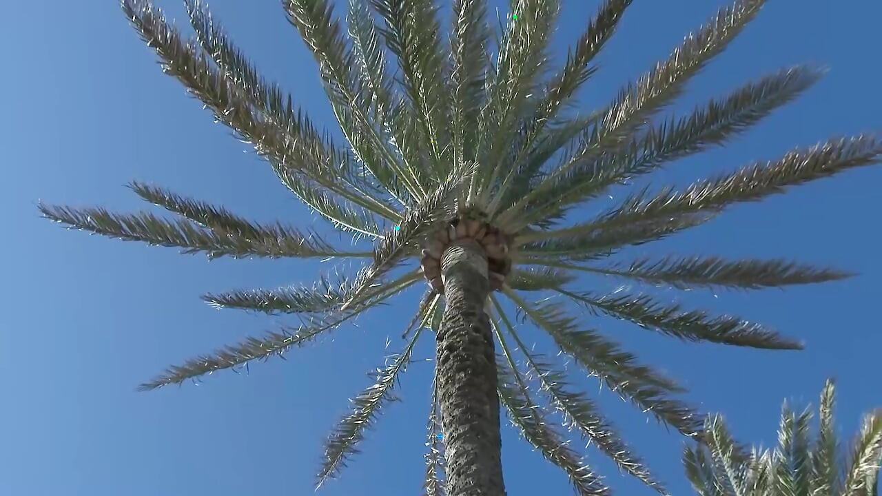 Napalony turysta seksualny niemiecka