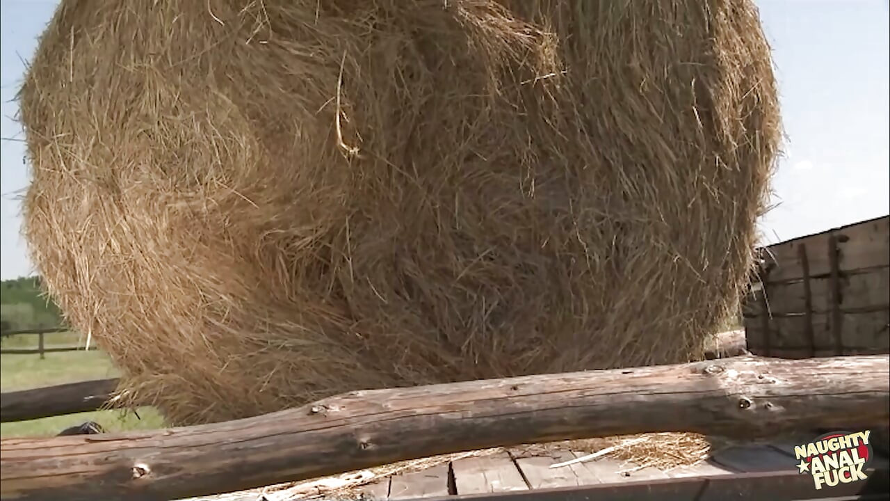 Sandra Romain wants to learn the anal craft of riding a cock in the outdoors