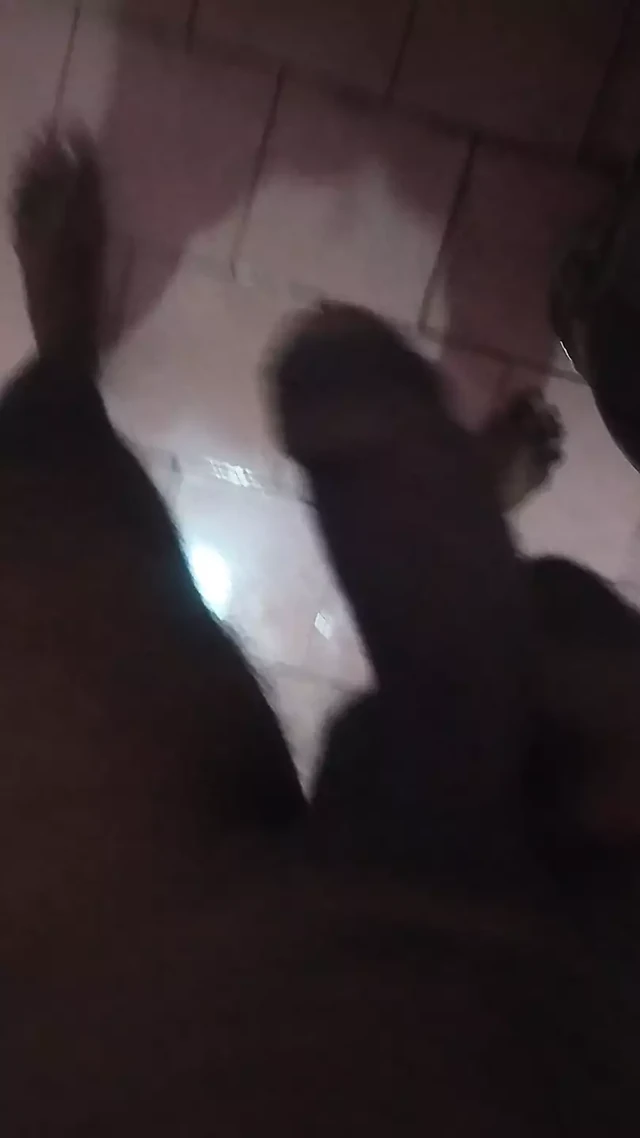 Доброе утро, Вуд