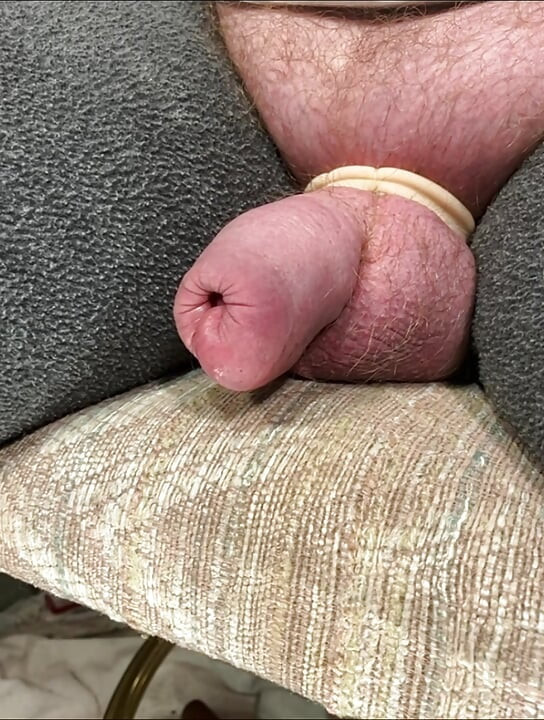 Giant uncut cock up close.  No hands.