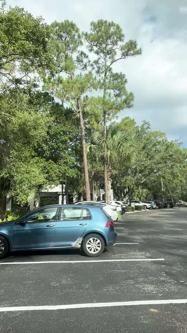 Masturbation In A Parking Lot