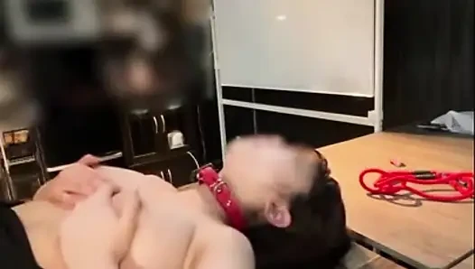 Asian Angel 27646