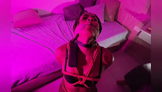 Güzel Latin Haz İçin Bağlandı