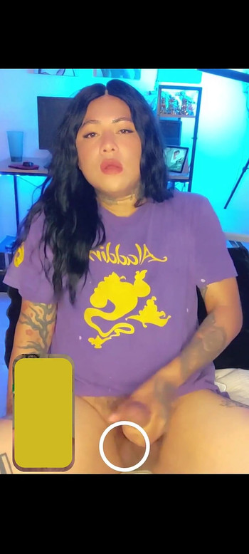 ビデオのプレビュー