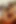 Slutty Student Lexi Ward Takes Facial Cumshots After Threesome with Professors